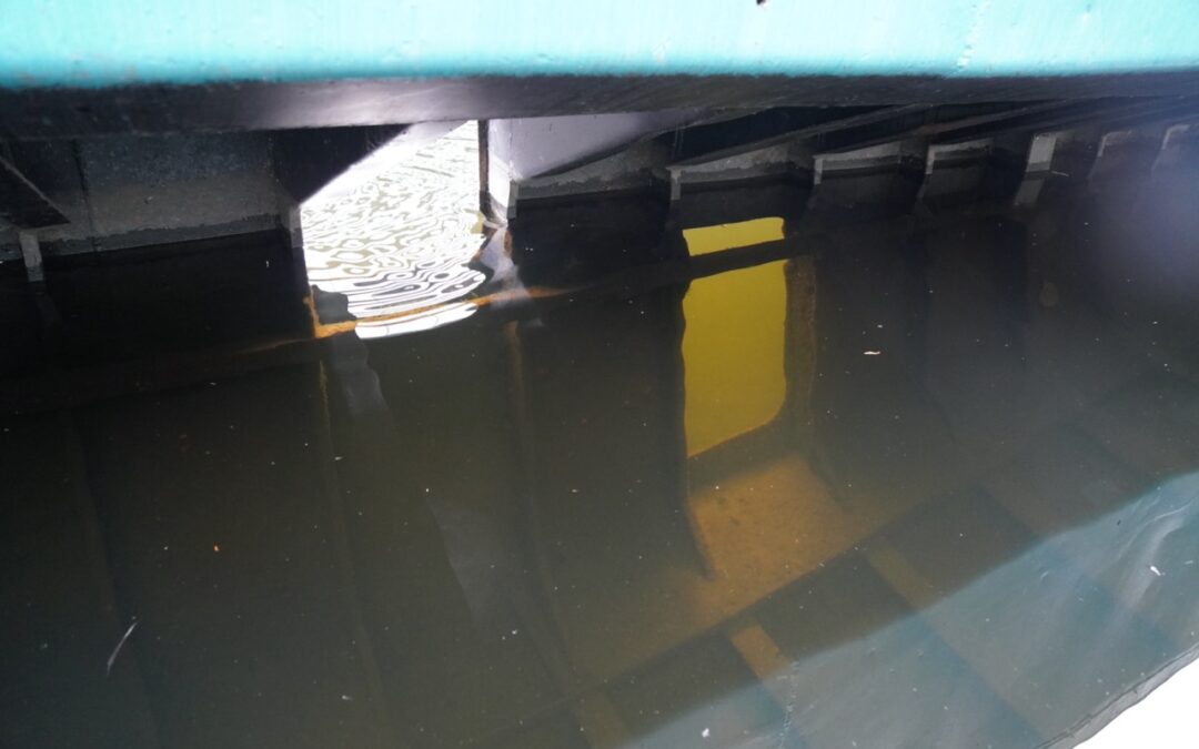 WE ARE OCEAN: Ausflug zur Grünen Schute