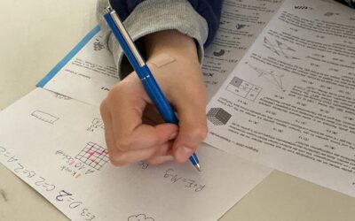 Känguru der Mathematik – erstmals an unserer Ida!